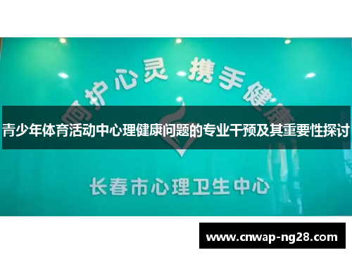 青少年体育活动中心理健康问题的专业干预及其重要性探讨