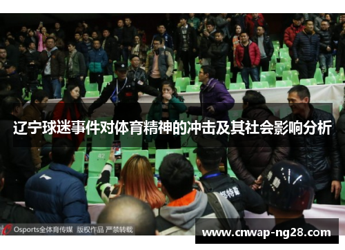 辽宁球迷事件对体育精神的冲击及其社会影响分析 辽宁球迷事件对体育精神的冲击及其社会影响分析