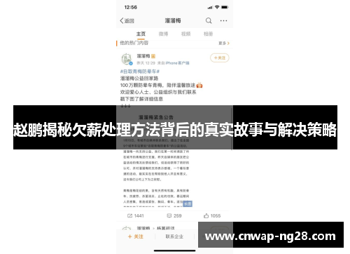 赵鹏揭秘欠薪处理方法背后的真实故事与解决策略