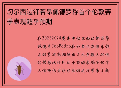 切尔西边锋若昂佩德罗称首个伦敦赛季表现超乎预期 切尔西边锋若昂佩德罗称首个伦敦赛季表现超乎预期